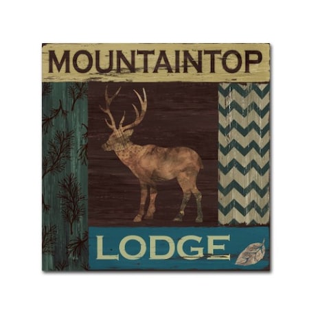 Fiona Stokes-Gilbert 'Mountain Lodge' Canvas Art,14x14